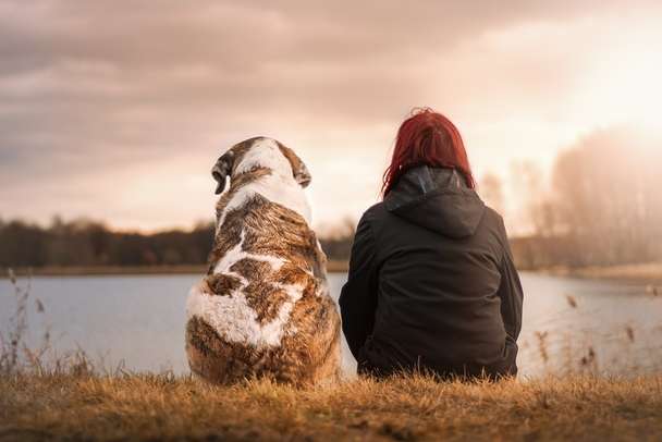 Therapiehund bei Angststörung