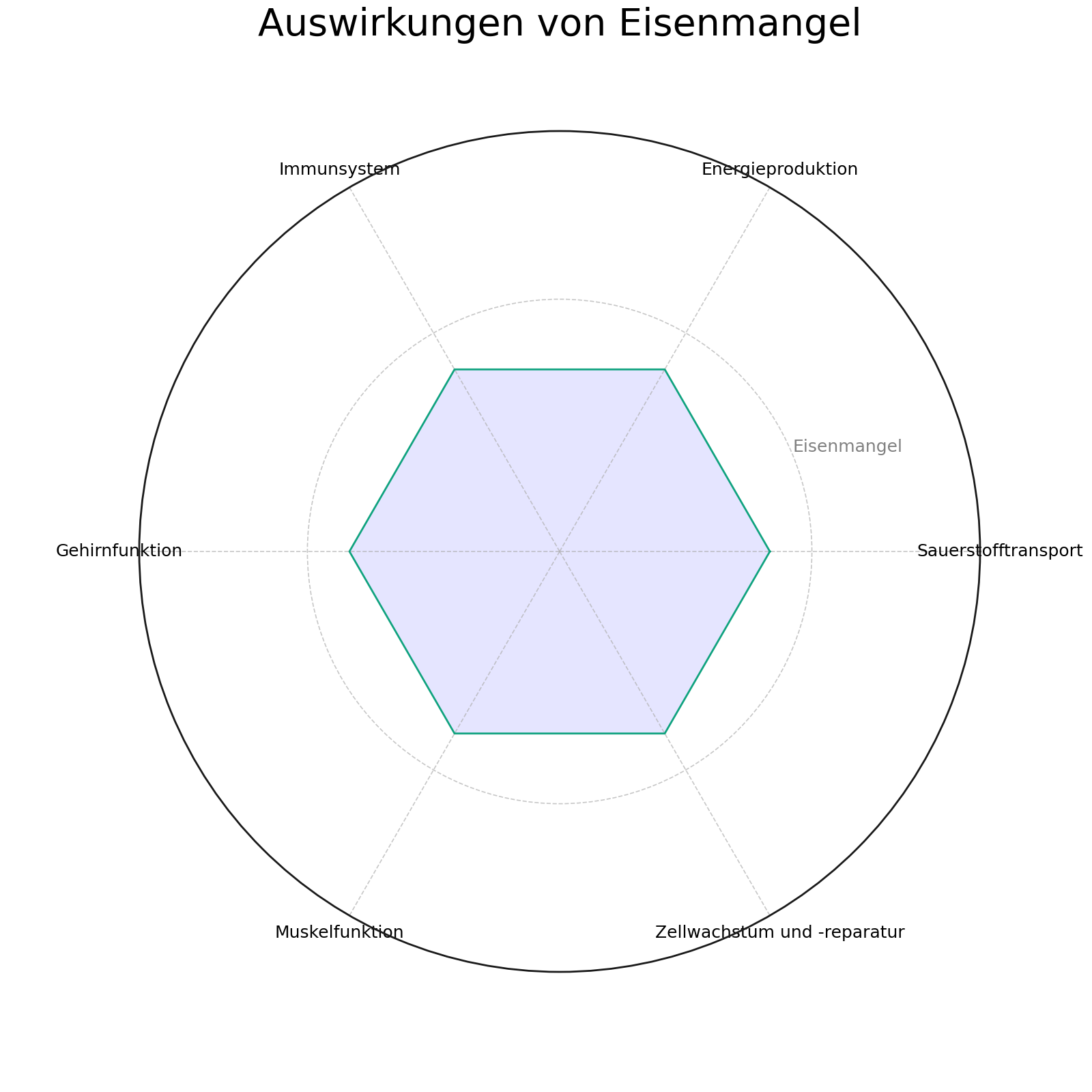 Eisenmangel auswirkungen