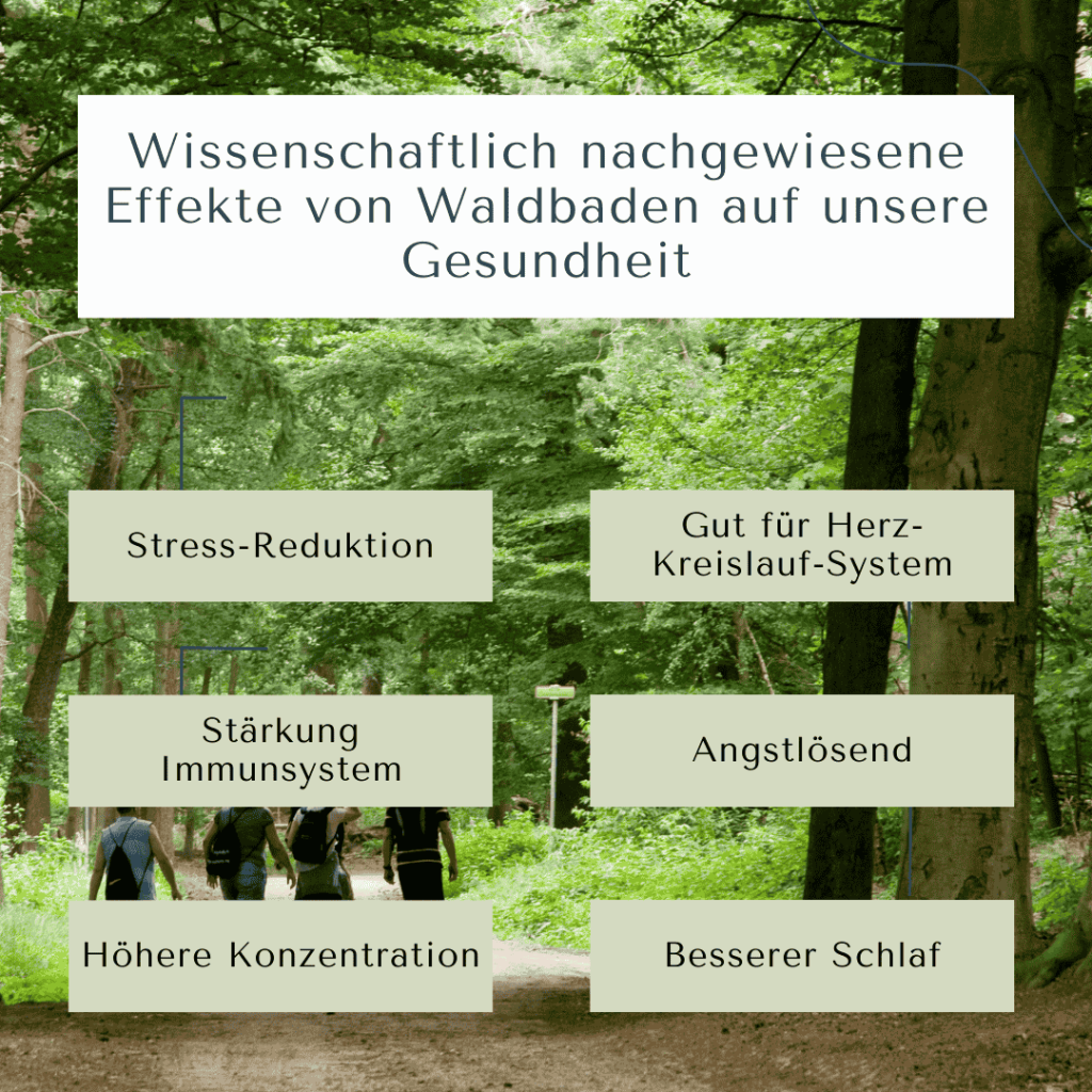 Wirkung von Waldbaden